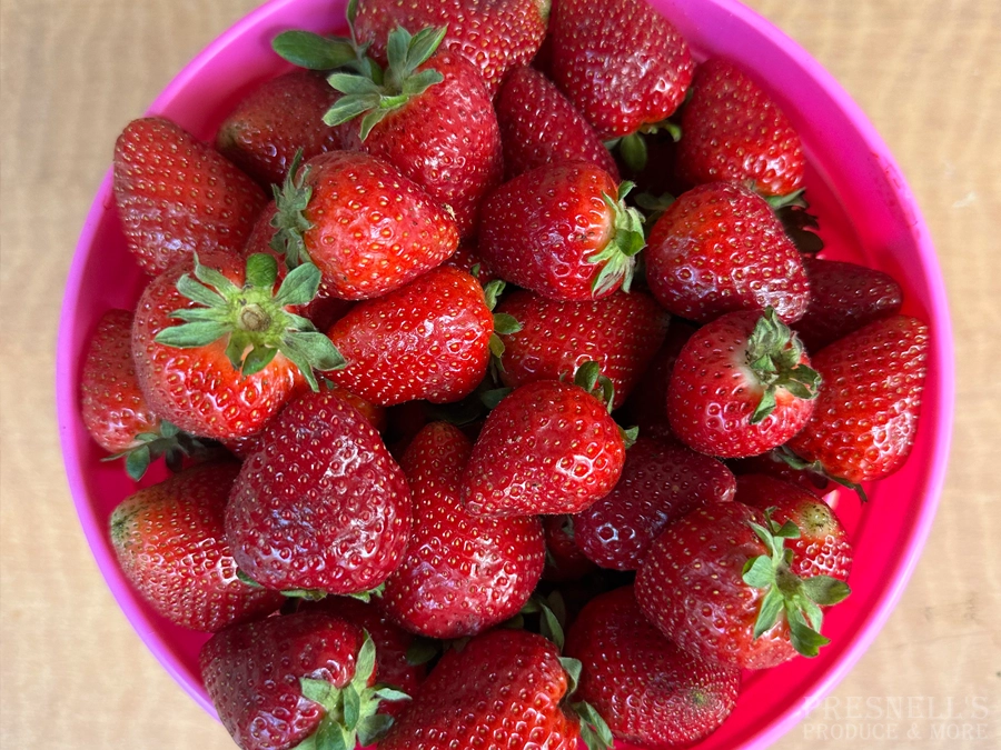 Strawberries & seasonal fruits