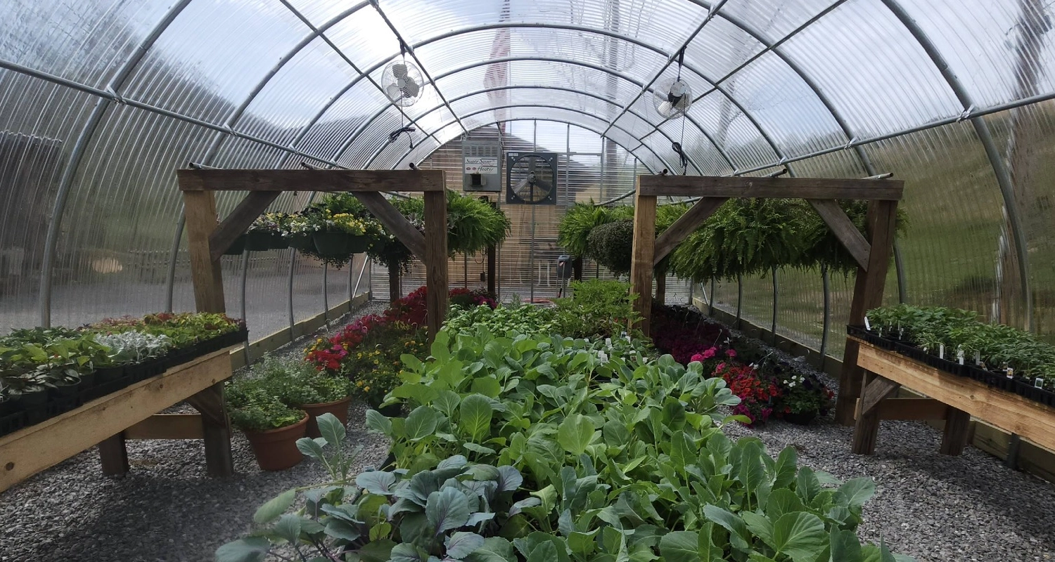inside the greenhouse