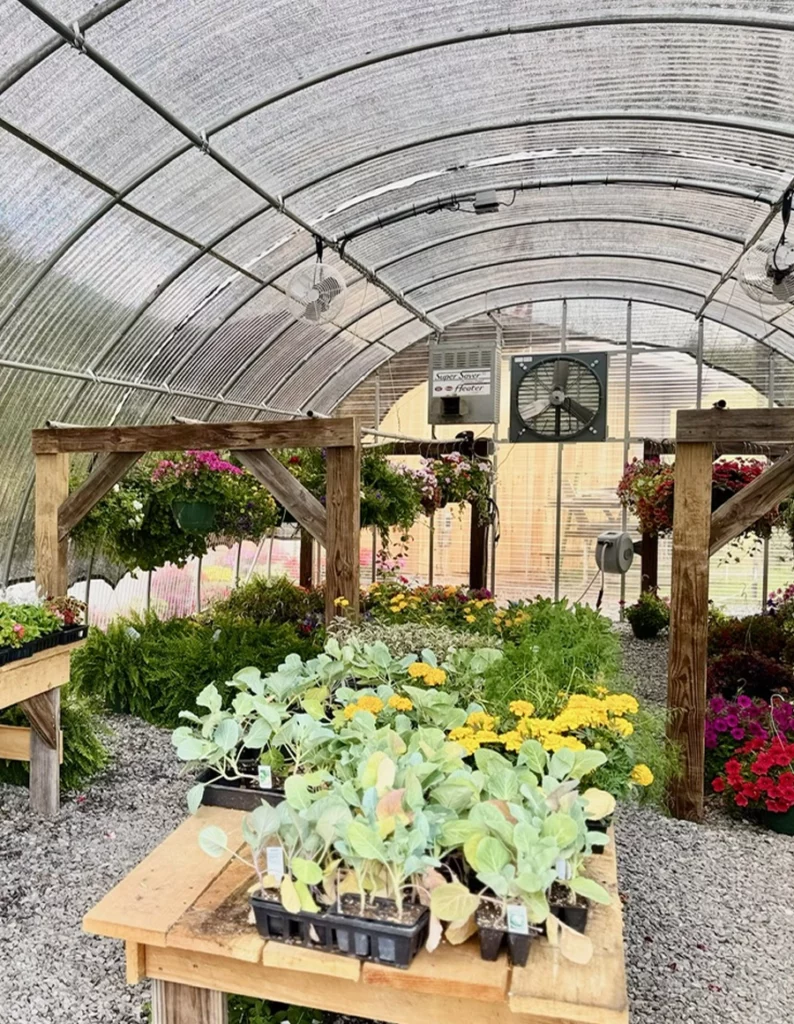 inside the greenhouse