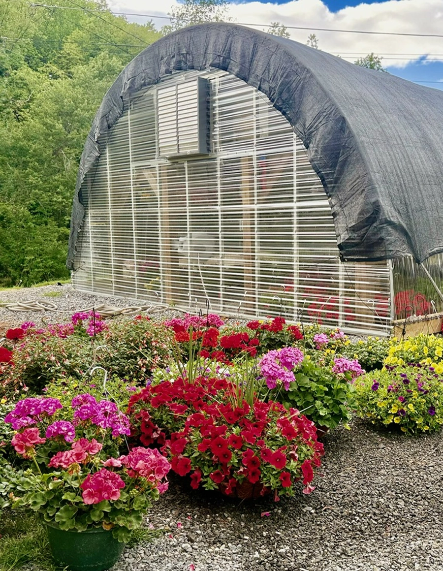 flowers and plants outside the greenhouse
