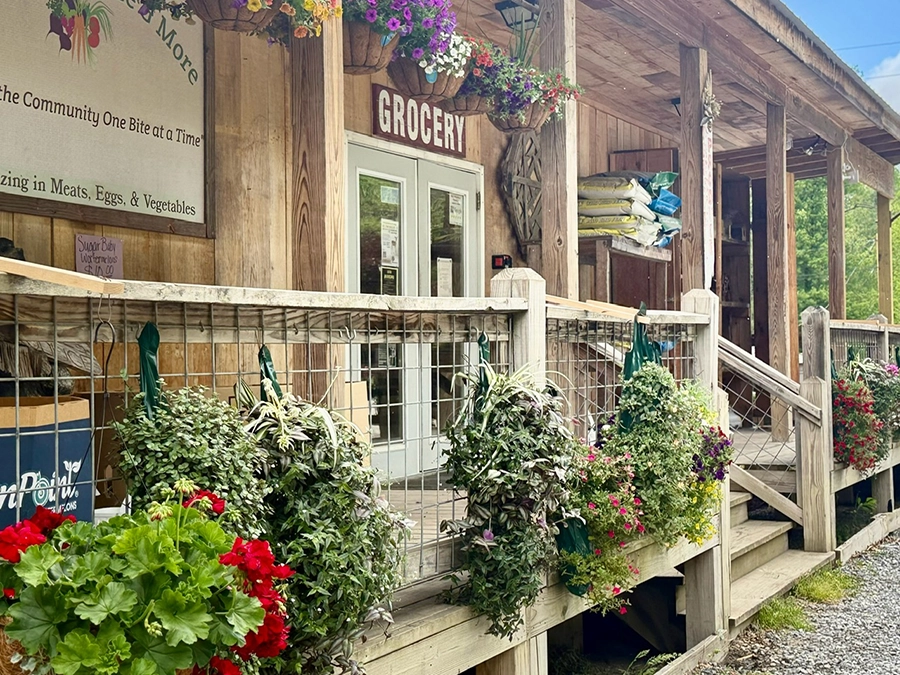 flowers and plants outside the entrance