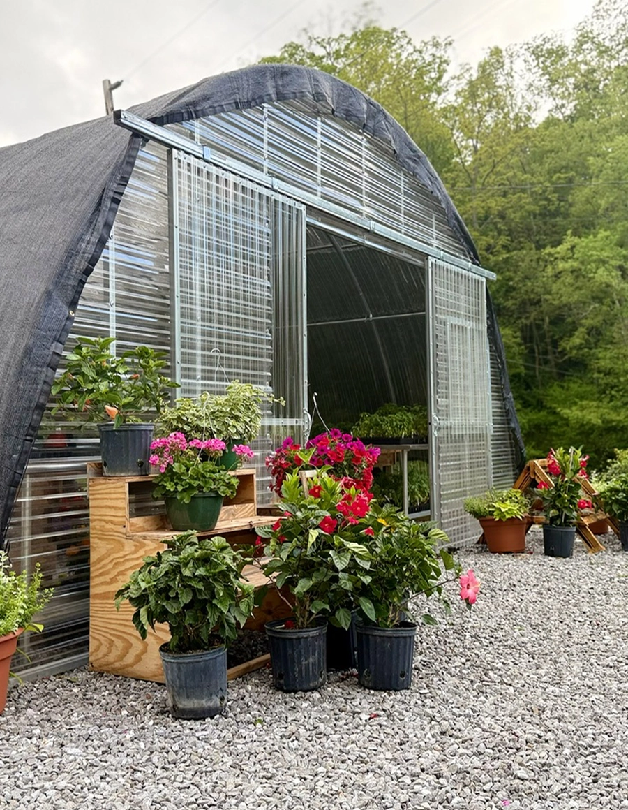 outside the greenhouse